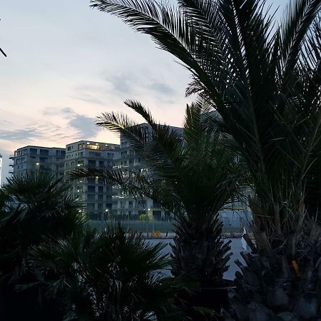 The Horse - De Silva Residence Mamaia Exteriér fotografie