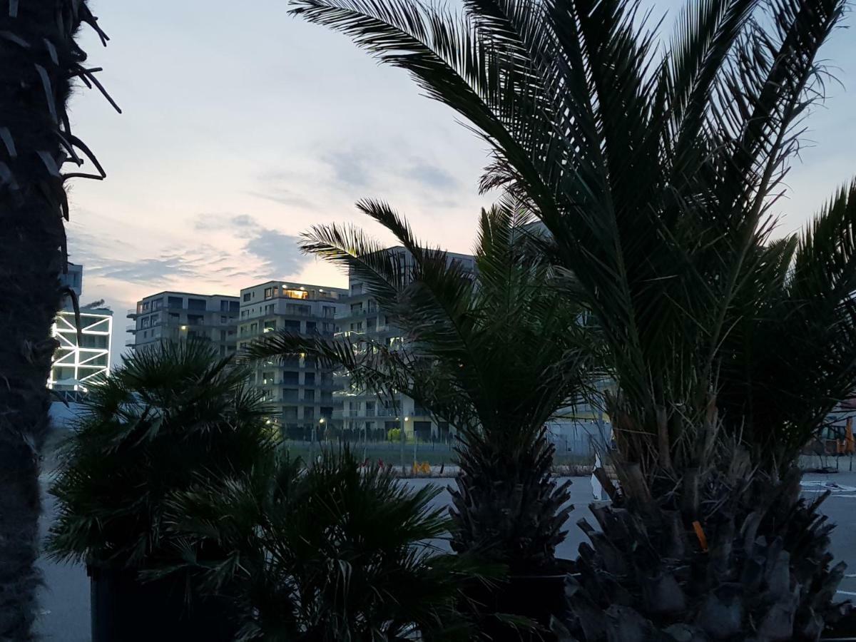 The Horse - De Silva Residence Mamaia Exteriér fotografie